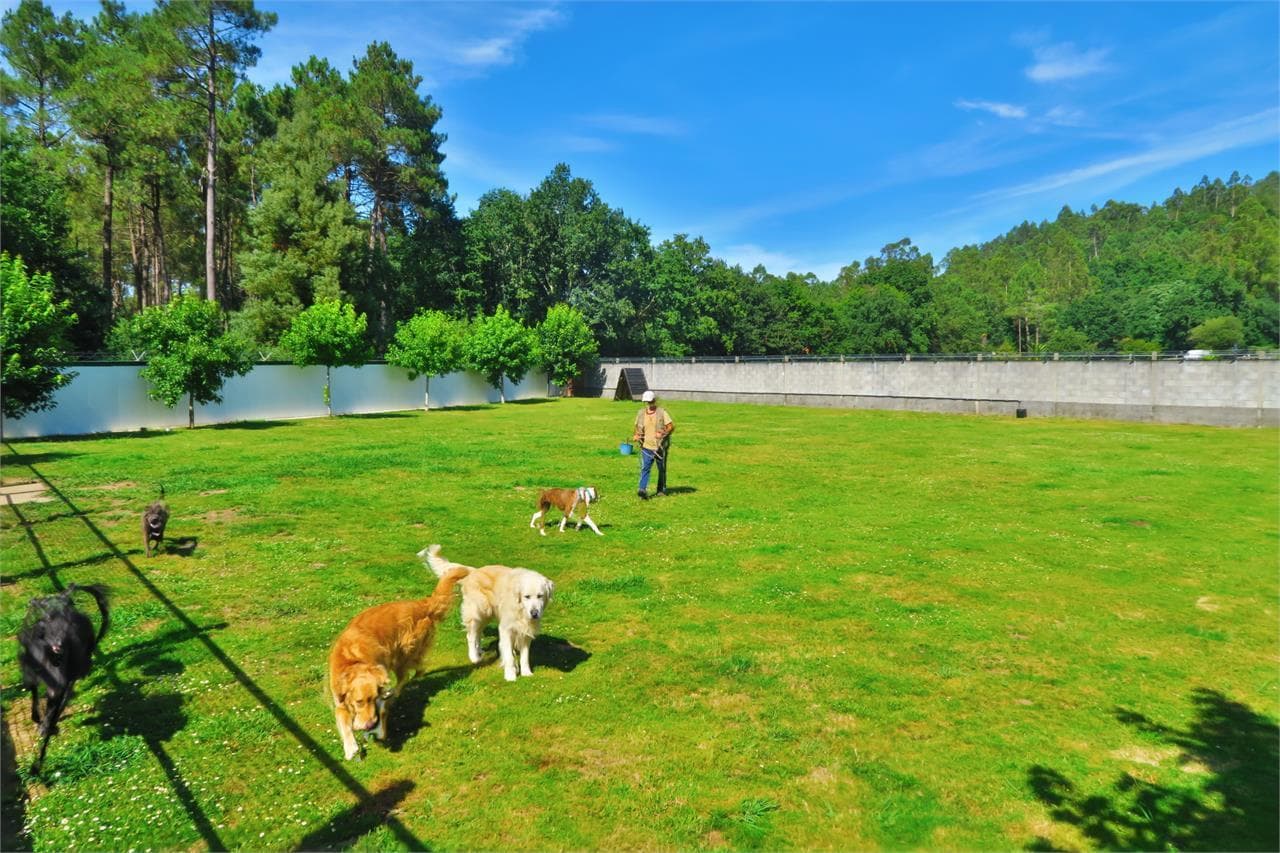 Centro Canino Daponte