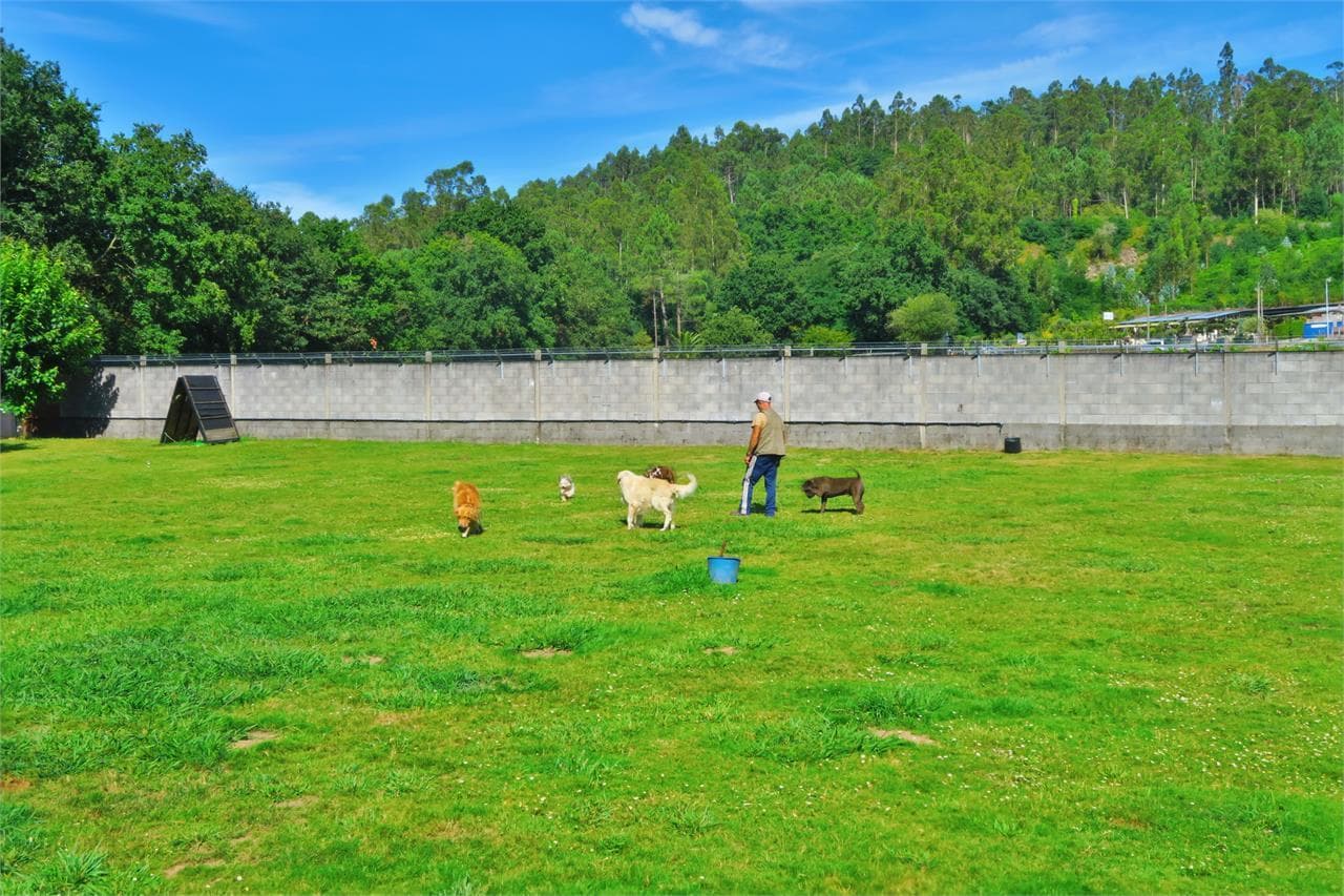 Centro Canino Daponte