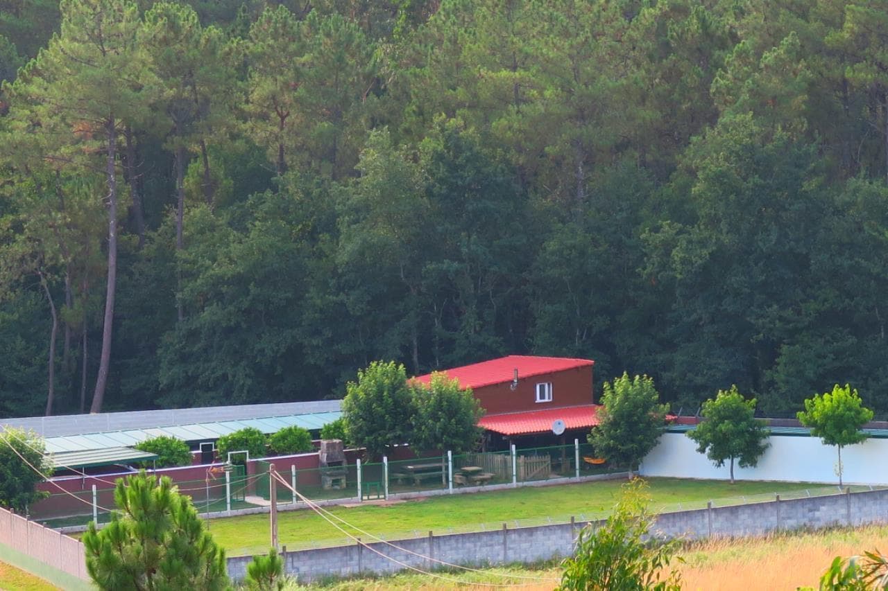 Centro Canino Daponte